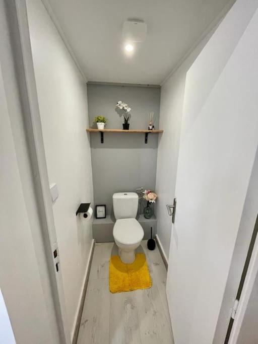 Joli Studio Cozy Tout Equipe Hyper Centre 桑特 外观 照片